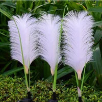 EcoFlare – Decorative Solar Wicker Garden Lighting with Natural Elegant