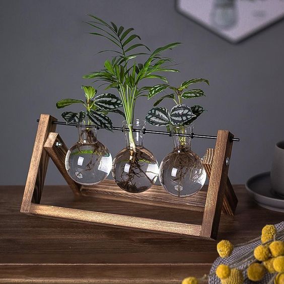 GreenHaven – Vintage Wooden Plant Propagation Stand for Stylish Flower Arrangements