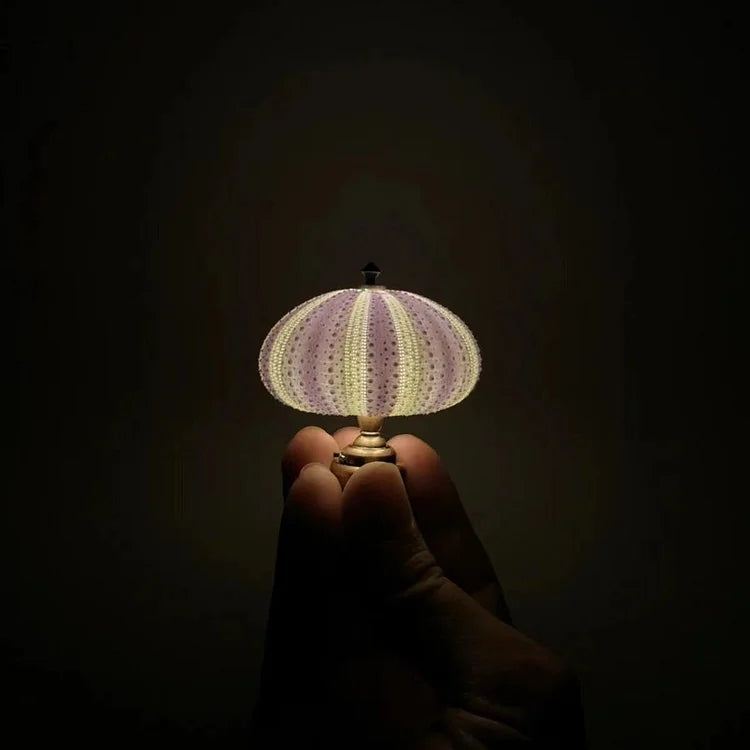LumiCraft – Unique DIY Table Lamp with Natural Primeval Shell for an Atmospheric Interior