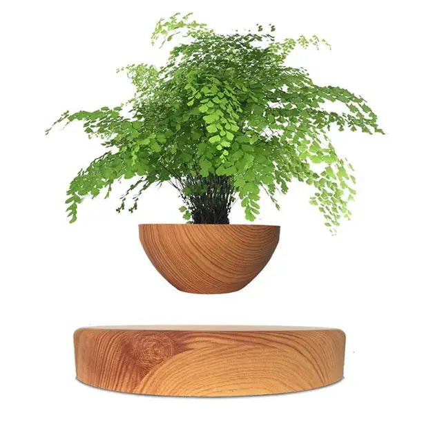 LeviFlora – Luxury Floating Plant Pot with Geometric Elegance