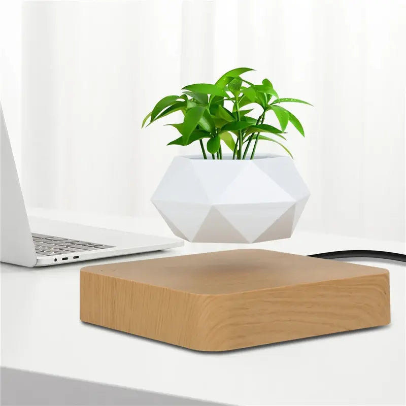 LeviFlora – Luxury Floating Plant Pot with Geometric Elegance
