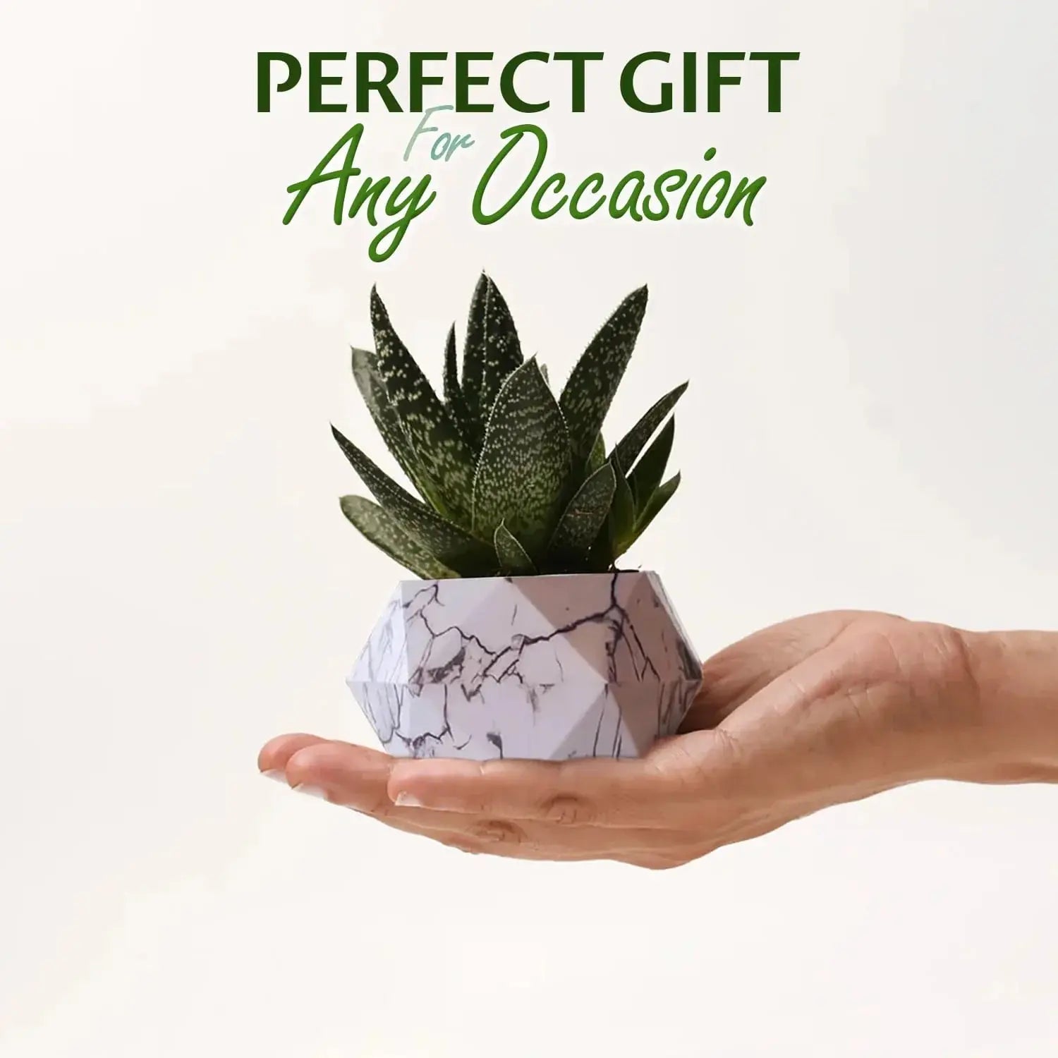 LeviFlora – Luxury Floating Plant Pot with Geometric Elegance