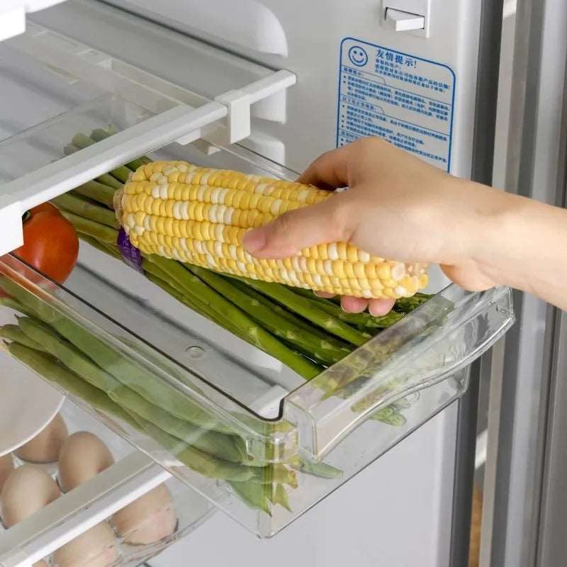 FreshEase – Luxe Cooler Organizer for Organized Freshness