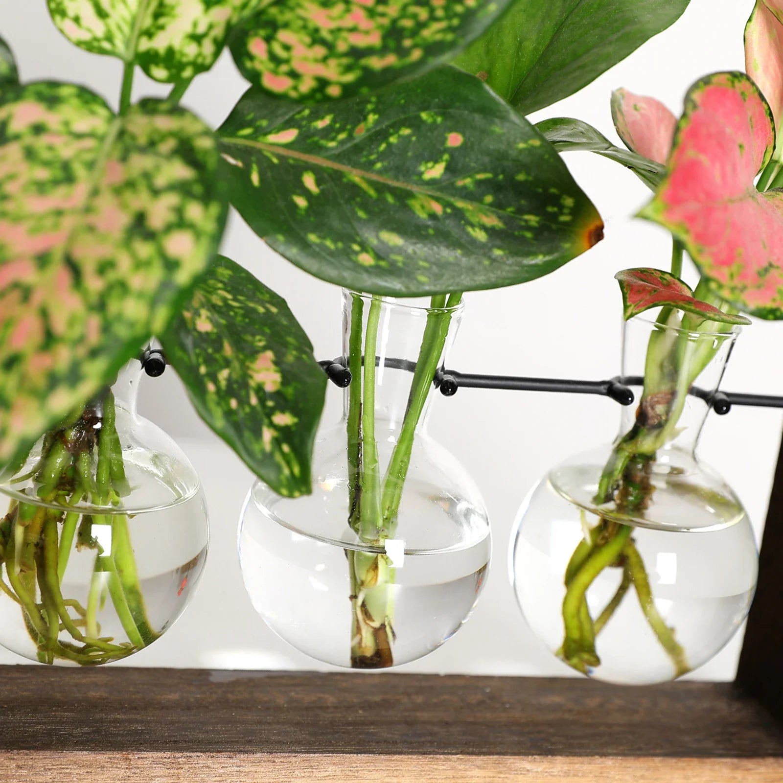 GreenHaven – Vintage Wooden Plant Propagation Stand for Stylish Flower Arrangements