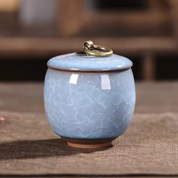 EternaPaws Elegant Ceramic Urn – Timeless Remembrance for Pets