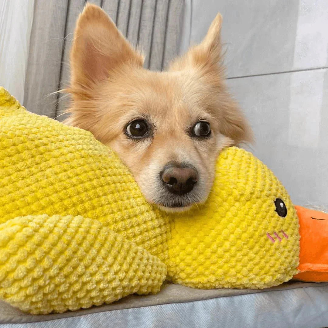 DuckiePlay Luxe Dog Toy – Interactive Squeak & Tug Fun for a Happy Dog