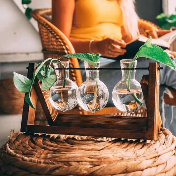 GreenHaven – Vintage Wooden Plant Propagation Stand for Stylish Flower Arrangements
