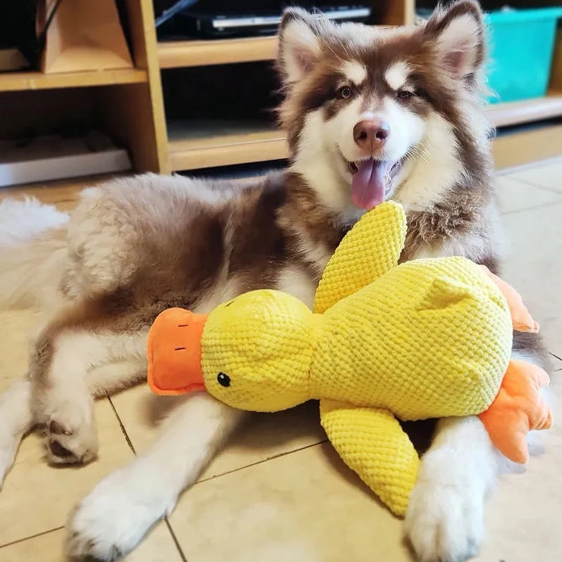PawSense – Pluche Geluidseend voor Ontspanning en Plezier
