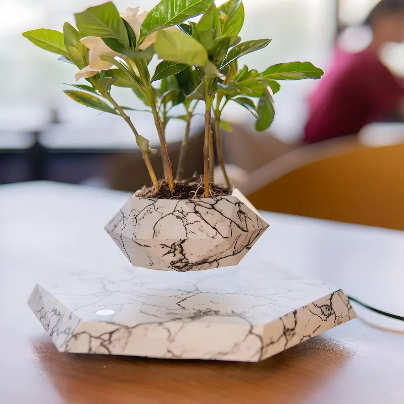 LeviFlora – Luxury Floating Plant Pot with Geometric Elegance