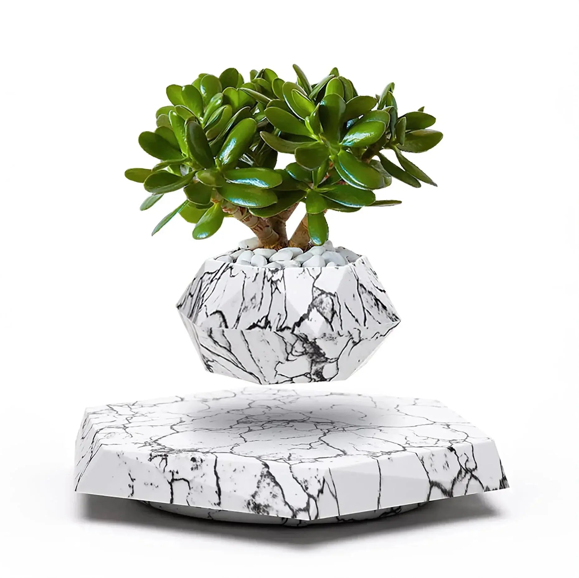 LeviFlora – Luxury Floating Plant Pot with Geometric Elegance