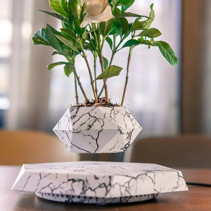 LeviFlora – Luxury Floating Plant Pot with Geometric Elegance