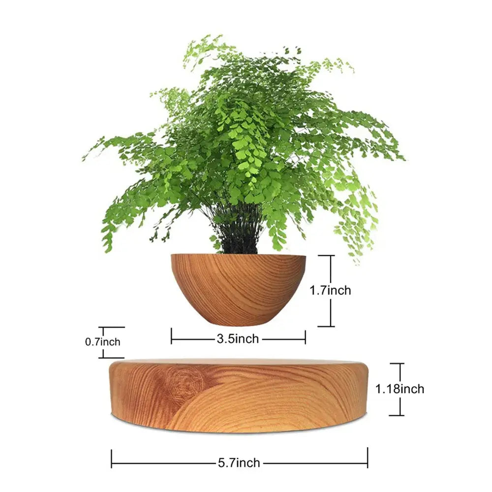 LeviFlora – Luxury Floating Plant Pot with Geometric Elegance