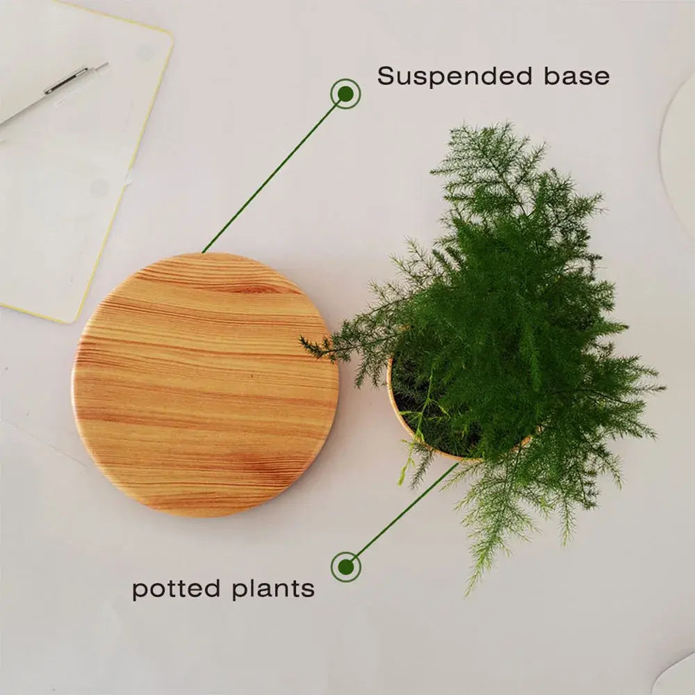 LeviFlora – Luxury Floating Plant Pot with Geometric Elegance
