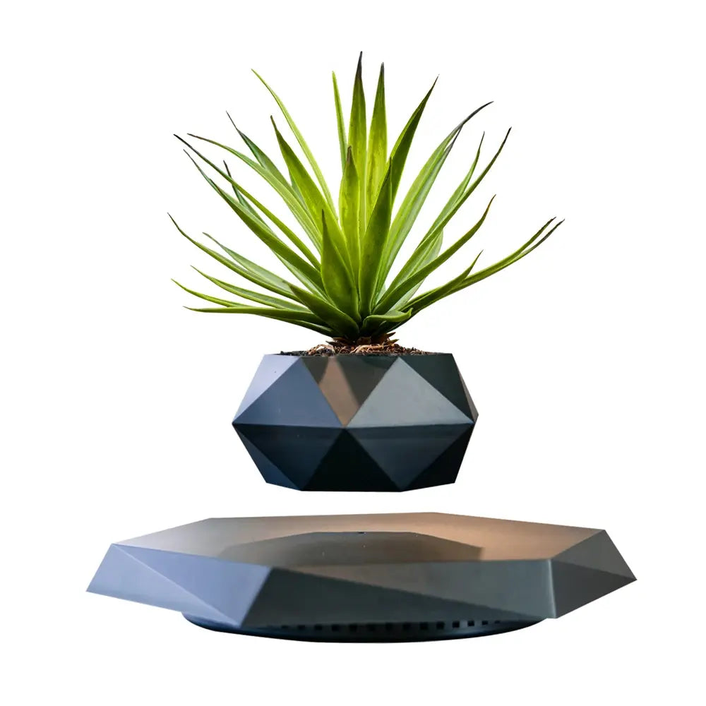 LeviFlora – Luxury Floating Plant Pot with Geometric Elegance