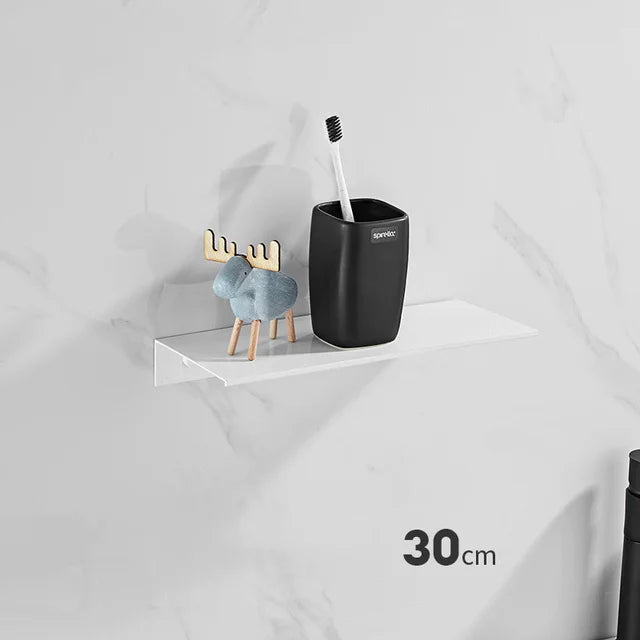 Elevare – Brushed Aluminum Storage Shelf with Modern & Minimalist Design