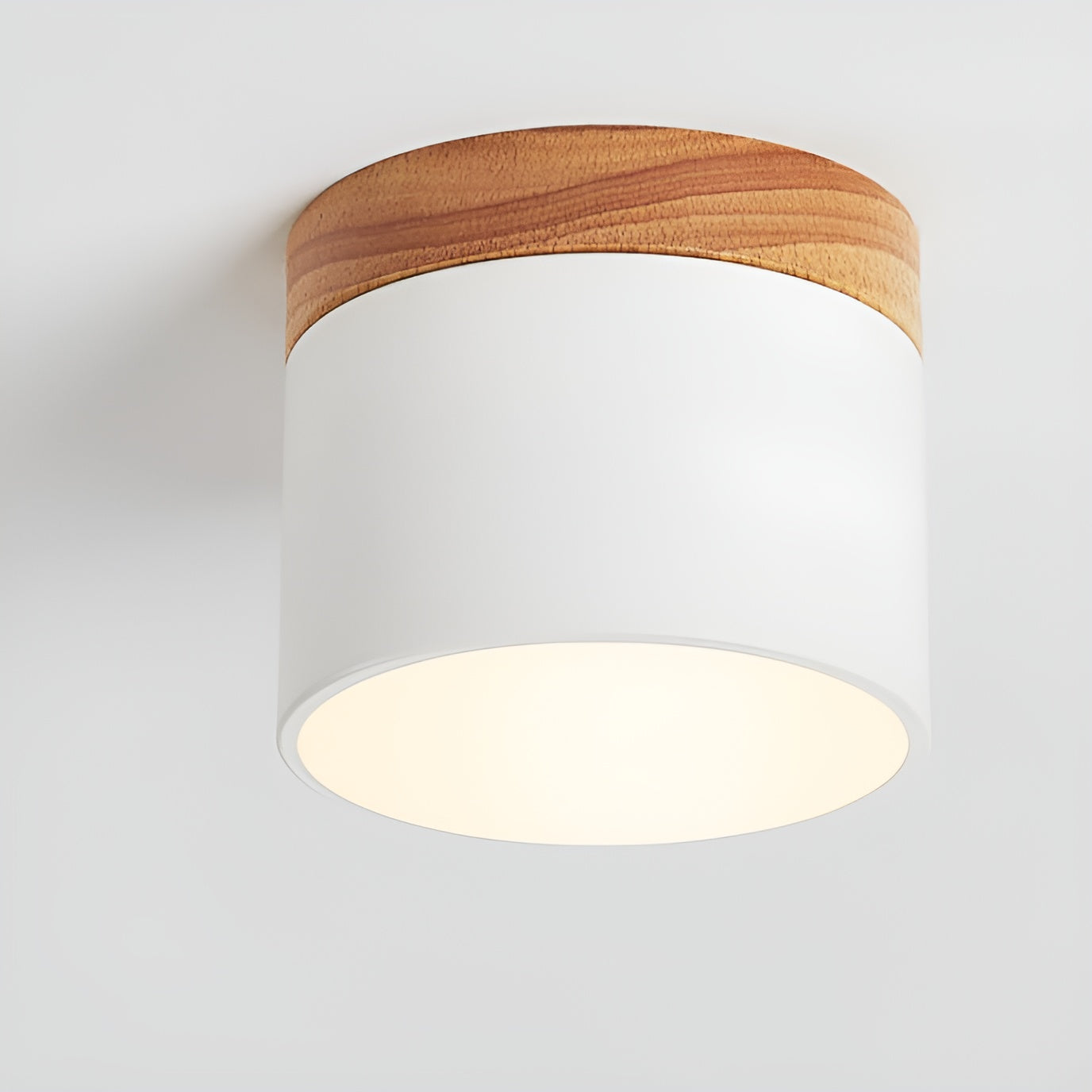 PastelCharm – Minimalistische Zylinderplafondlamp met Warm Lichtaccent