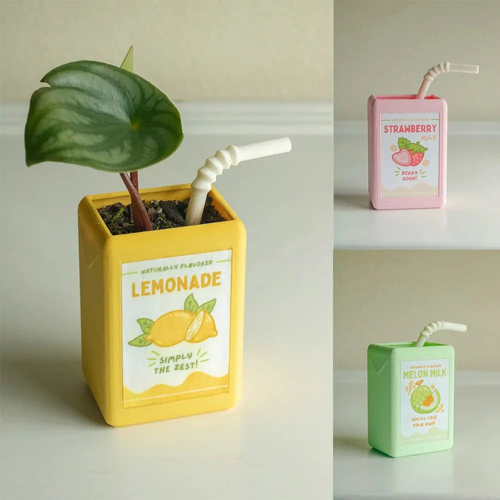 BloomJoy – Playful Plant Pot in Juice Design for a Unique Interior