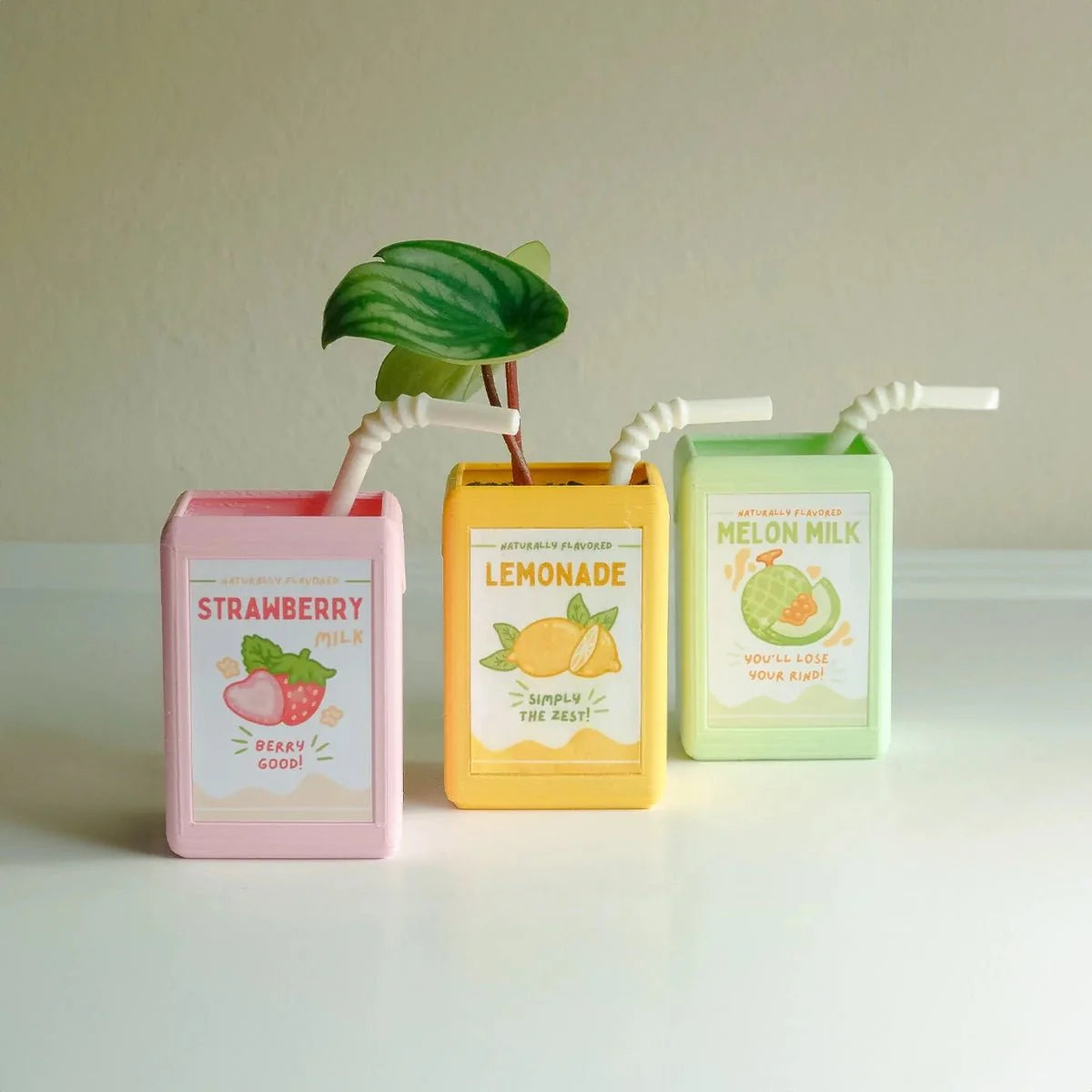 BloomJoy – Playful Plant Pot in Juice Design for a Unique Interior