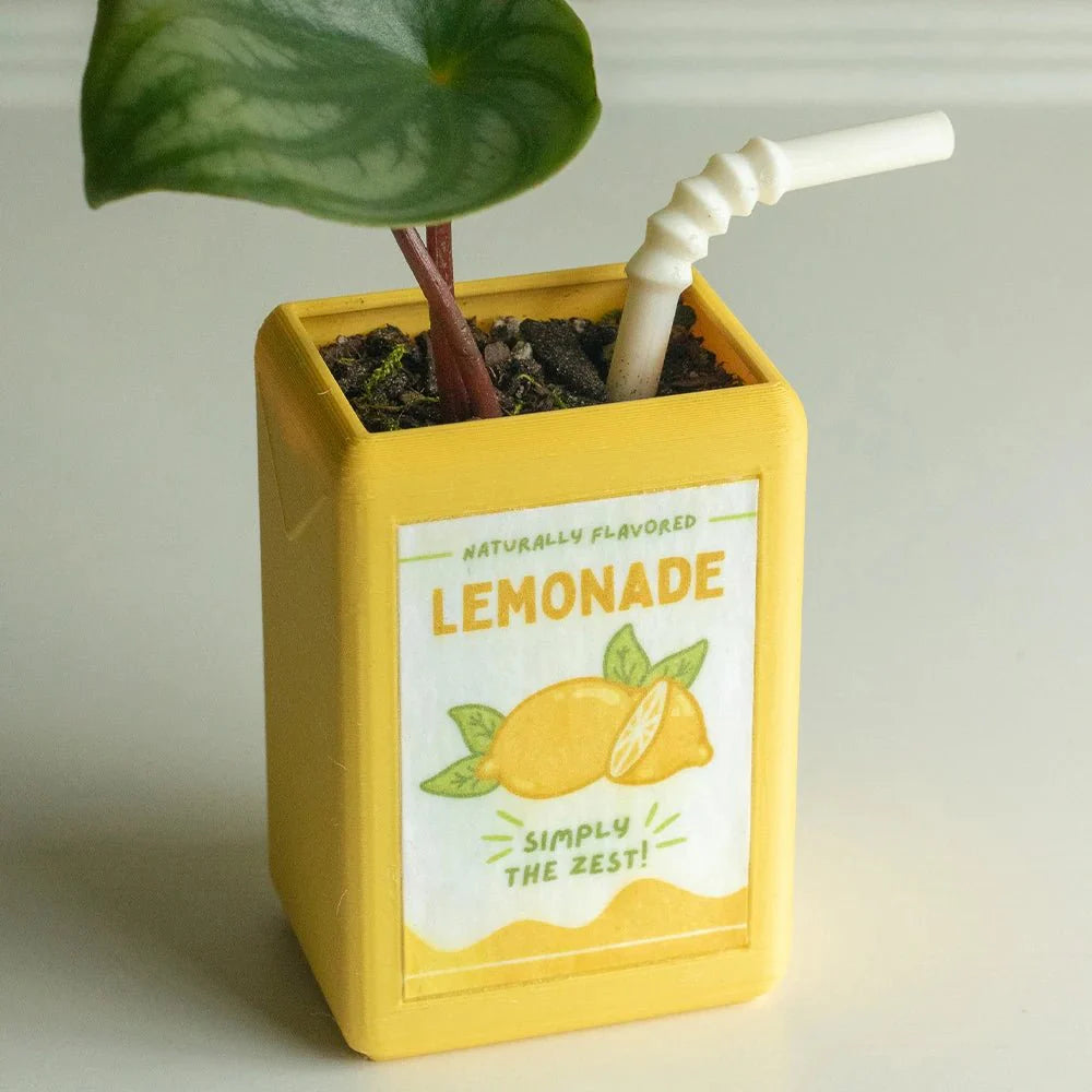 BloomJoy – Playful Plant Pot in Juice Design for a Unique Interior