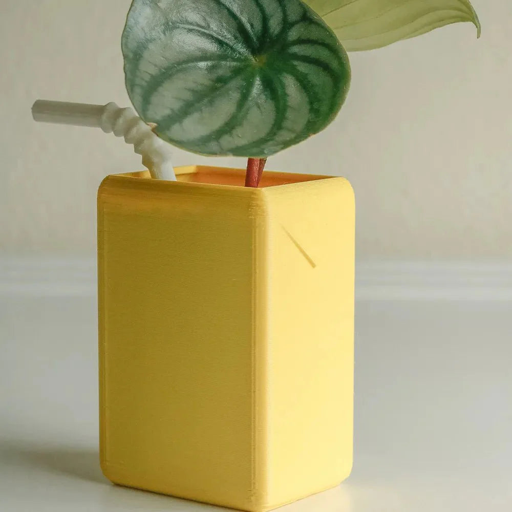 BloomJoy – Playful Plant Pot in Juice Design for a Unique Interior