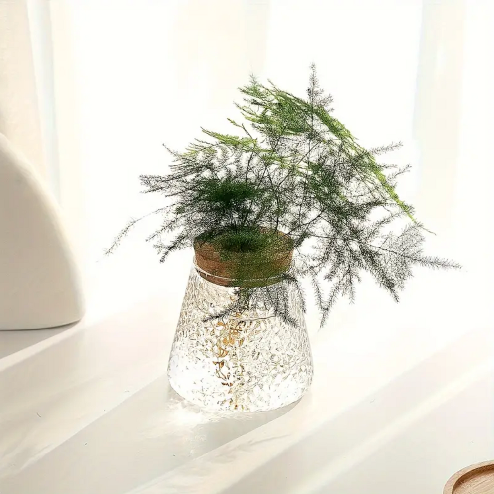 Vase en verre pour hydroculture avec couvercle en liège pour plantes d’intérieur et boutures