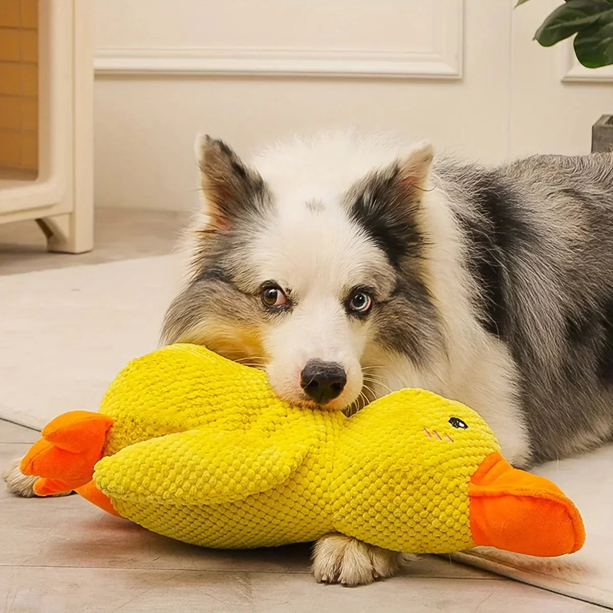 DuckiePlay Luxe Dog Toy – Interactive Squeak & Tug Fun for a Happy Dog