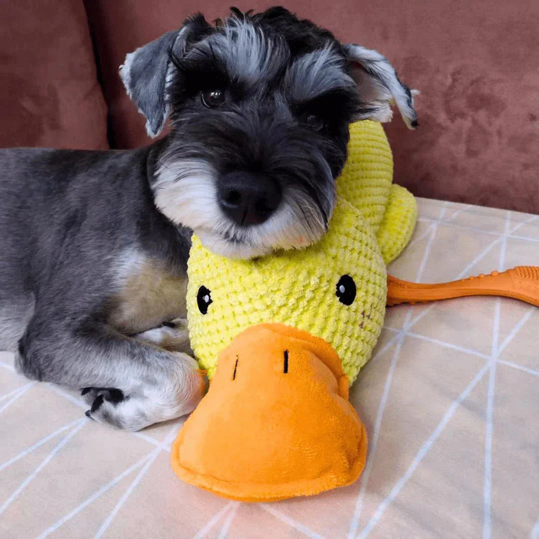DuckiePlay Luxe Dog Toy – Interactive Squeak & Tug Fun for a Happy Dog